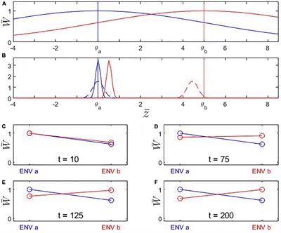 Apparent evolutionary maladaptation and inference from reciprocal transplants